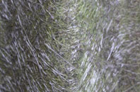 Eastburn Br fibreglass roof work